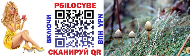Псилоцибиновые грибы GOLDEN TEACHER  купить наркотики цена  Кондрово 